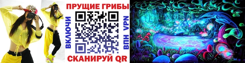 купить закладку  Качканар  Псилоцибиновые грибы GOLDEN TEACHER 