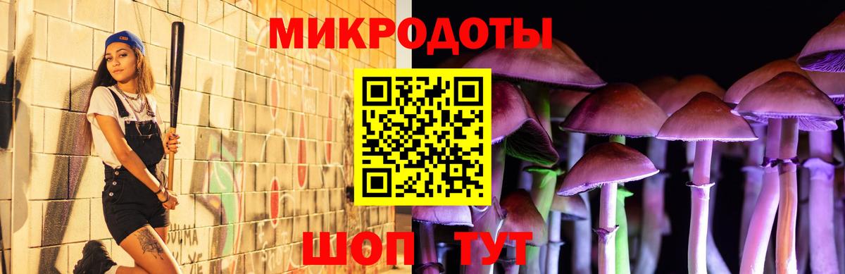 Качканар  Псилоцибиновые грибы прущие грибы  Вход с VPN 